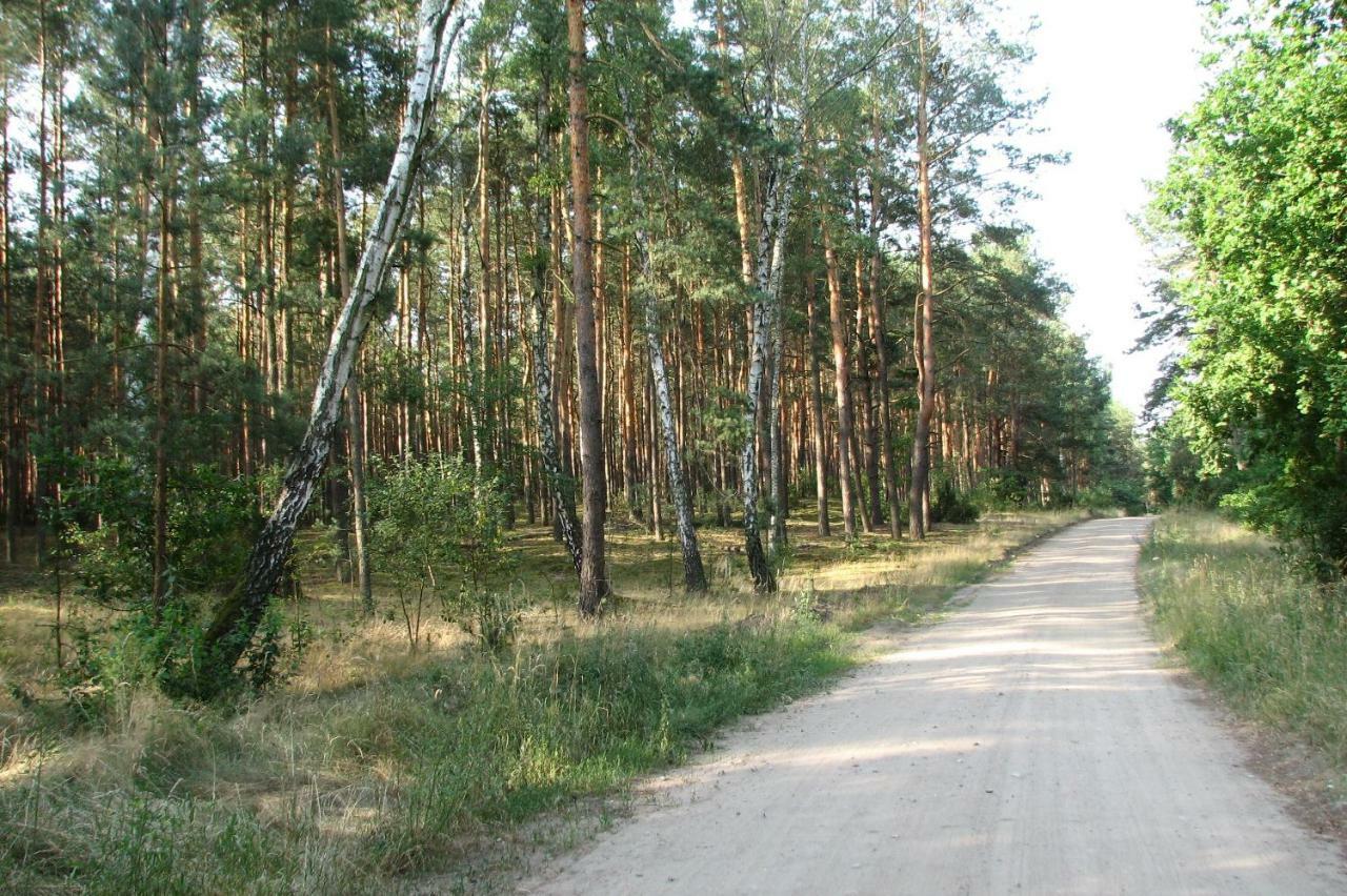 Villa Strefa Kampinos à Brochów Extérieur photo