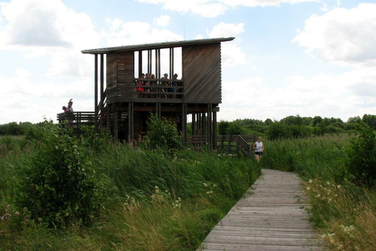 Villa Strefa Kampinos à Brochów Extérieur photo